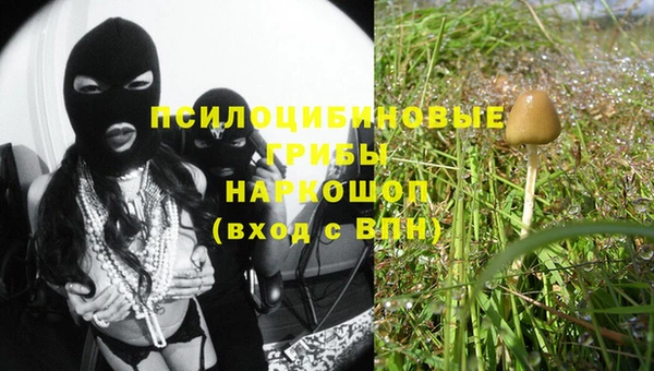 каннабис Алексеевка