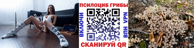 Псилоцибиновые грибы мицелий  купить наркотики цена  Чердынь 